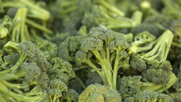 Broccoli – hyllas av diabetesforskare